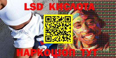 дживик Кандалакша