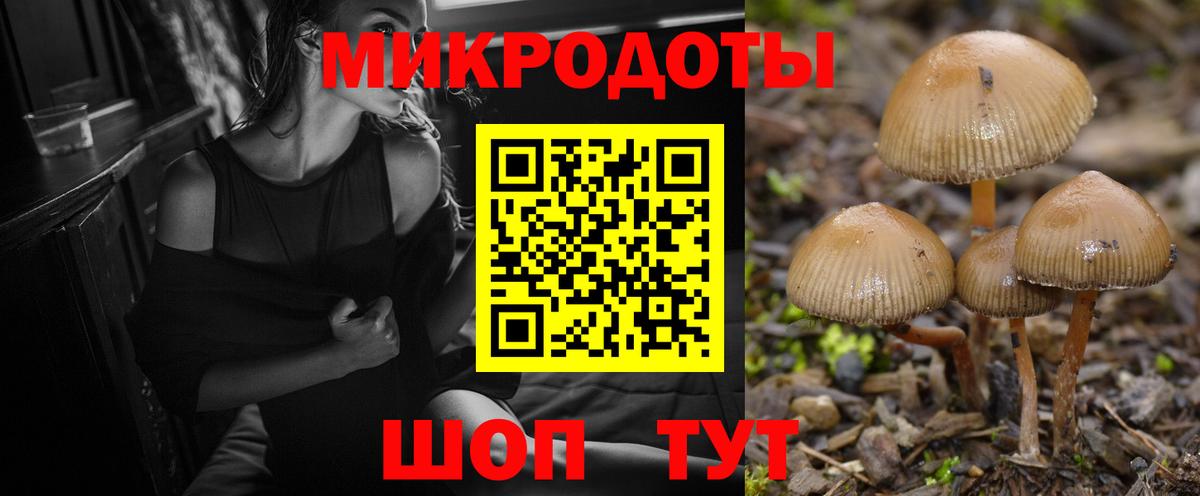 Лангепас  Псилоцибиновые грибы Cubensis  Вход с VPN 